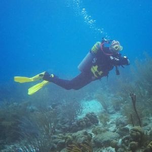 Meet your Posher, Sheila